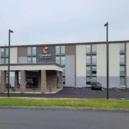 Comfort Inn & Suites Wyomissing-Reading Bagian luar foto