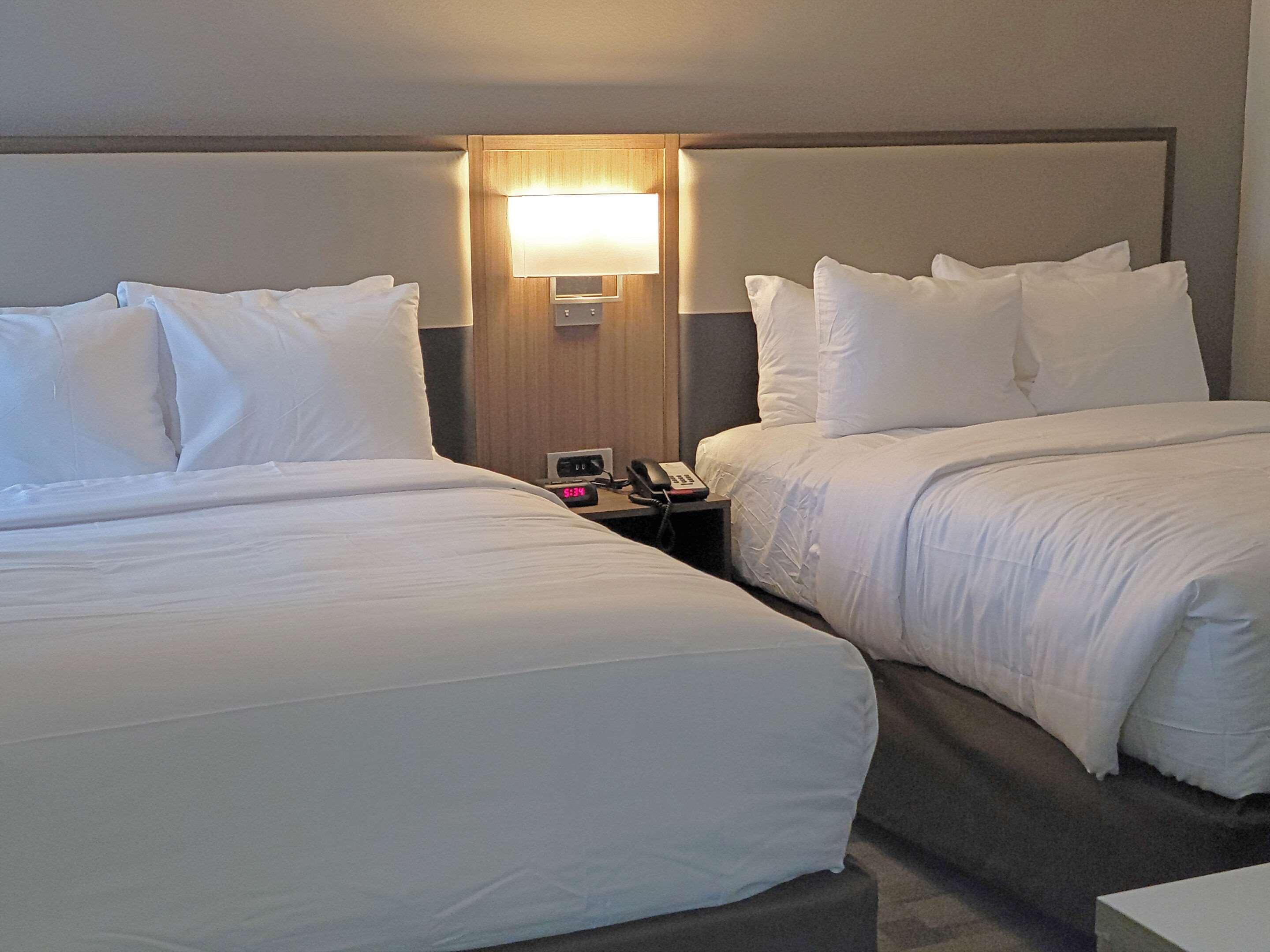Comfort Inn & Suites Wyomissing-Reading Bagian luar foto